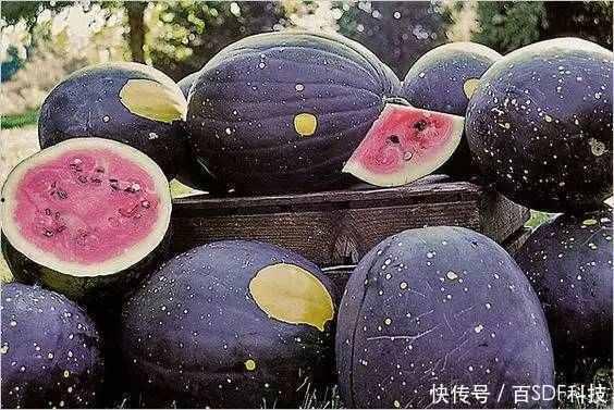 什么叫黑料吃瓜,黑料背后的真相与吃瓜群众的狂欢
