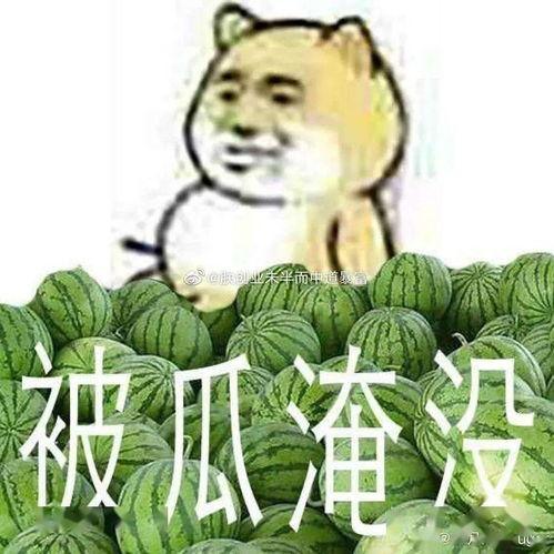 吃瓜黑料反差,吃瓜黑料背后的反差人生
