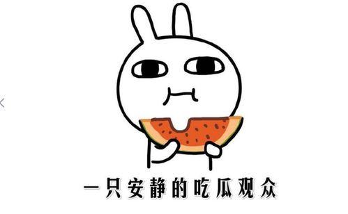 抖音吃瓜黑料女主,揭秘网络舆论背后的真相