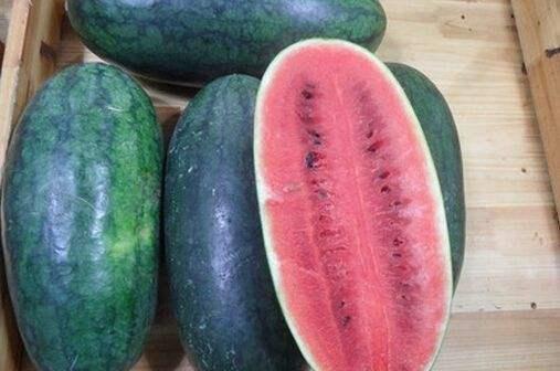黑料吃瓜网在线吃瓜,带你畅游娱乐圈,揭秘明星幕后故事