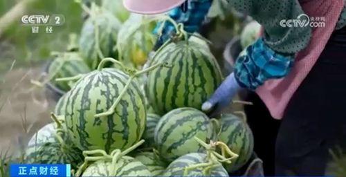 黑料每日大赛在线吃瓜,在线吃瓜,揭秘娱乐圈幕后风云