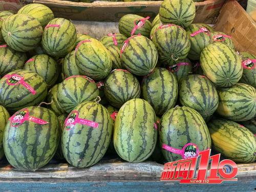 黑料每日大赛在线吃瓜,在线吃瓜,揭秘娱乐圈幕后风云